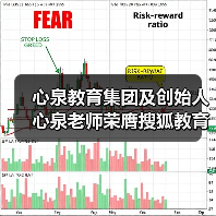 心泉教育集团及创始人心泉老师荣膺搜狐教育年度双项大奖（图2）
