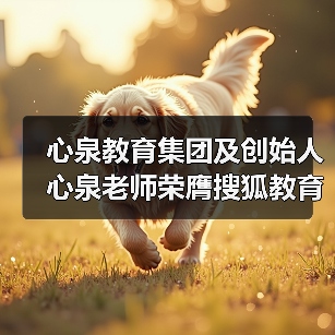 心泉教育集团及创始人心泉老师荣膺搜狐教育年度双项大奖（图3）