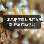 如皋市东皋幼儿园党支部 开展专题党课（图2）