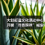 大划街道文化活动中心开展“寻香探味”戚家湾非遗研学小课堂活动（图4）