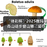 “体彩杯”2025雅玛里克山徒步登山暨“爱在行走”第十八站(乌鲁木齐)公益(图4) “体彩杯”2025雅玛里克山徒步登山暨“爱在行走”第十八站(乌鲁木齐)公益(图4)