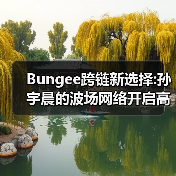 Bungee跨链新选择:孙宇晨的波场网络开启高效资产流转时代（图3）