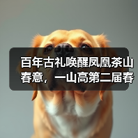 百年古礼唤醒凤凰茶山春意，一山高第二届春茶文化节盛大启幕