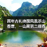 百年古礼唤醒凤凰茶山春意,一山高第二届春茶文化节盛大启幕(图3) 百年古礼唤醒凤凰茶山春意,一山高第二届春茶文化节盛大启幕(图3)