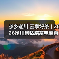 茶乡遂川 云享好茶丨2026遂川狗牯脑茶电商直播活动圆满收官（图2）