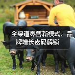 全渠道零售新模式：品牌增长密码解锁（图2）