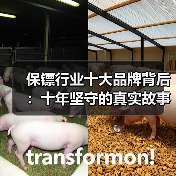 保镖行业十大品牌背后：十年坚守的真实故事