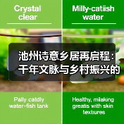 池州诗意乡居再启程:千年文脉与乡村振兴的对话(图4) 池州诗意乡居再启程:千年文脉与乡村振兴的对话(图4)