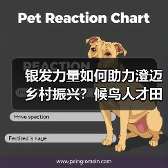 银发力量如何助力澄迈乡村振兴?候鸟人才田间 银发力量如何助力澄迈乡村振兴?候鸟人才田间