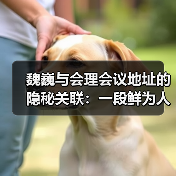 魏巍与会理会议地址的隐秘关联:一段鲜为人知的往事(图3) 魏巍与会理会议地址的隐秘关联:一段鲜为人知的往事(图3)
