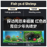 探访周恩来祖居 红色教育启少年先锋梦(图4) 探访周恩来祖居 红色教育启少年先锋梦(图4)