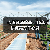 心理导师徐莉：16年深耕点亮万千心灵