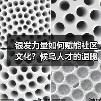银发力量如何赋能社区文化?候鸟人才的温暖实践(图2) 银发力量如何赋能社区文化?候鸟人才的温暖实践(图2)