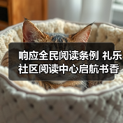 响应全民阅读条例 礼乐社区阅读中心启航书香社区建设(图4) 响应全民阅读条例 礼乐社区阅读中心启航书香社区建设(图4)