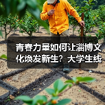 青春力量如何让淄博文化焕发新生？大学生线上解锁非遗新魅力