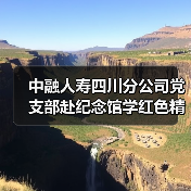 中融人寿四川分公司党支部赴纪念馆学红色精神，缅怀先烈守初心