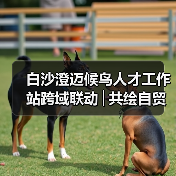 白沙澄迈候鸟人才工作站跨域联动│共绘自贸港文旅农创融合发展新图景（图2）