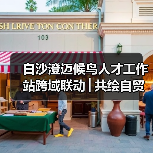 白沙澄迈候鸟人才工作站跨域联动│共绘自贸港文旅农创融合发展新图景（图3）
