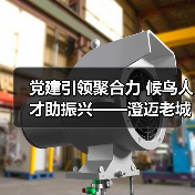 党建引领聚合力 候鸟人才助振兴——澄迈老城社区发展协会开展考察采风活动
