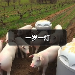 一岁一灯
