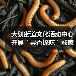 大划街道文化活动中心开展“寻香探味”戚家湾非遗研学小课堂活动（图2）