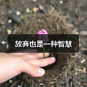 放弃也是一种智慧