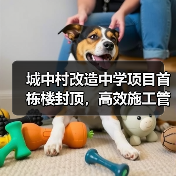 城中村改造中学项目首栋楼封顶，高效施工管理如何实现？（图4）