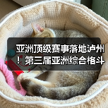 亚洲顶级赛事落地泸州!第三届亚洲综合格斗锦标赛新闻发布会在泸举行!(图4) 亚洲顶级赛事落地泸州!第三届亚洲综合格斗锦标赛新闻发布会在泸举行!(图4)
