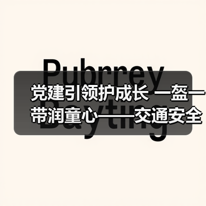 党建引领护成长 一盔一带润童心——交通安全教育进校园（图2）