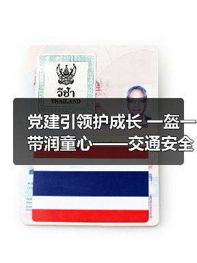 党建引领护成长 一盔一带润童心——交通安全教育进校园（图3）