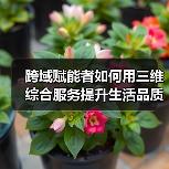 跨域赋能者如何用三维综合服务提升生活品质?(图3) 跨域赋能者如何用三维综合服务提升生活品质?(图3)