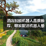 酒店智能机器人品牌推荐,哪家配送机器人最可靠?(图3) 酒店智能机器人品牌推荐,哪家配送机器人最可靠?(图3)