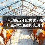 沪惠保五年赔付超29亿！主动理赔如何实现？