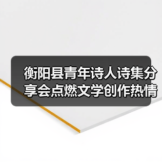 衡阳县青年诗人诗集分享会点燃文学创作热情（图3）