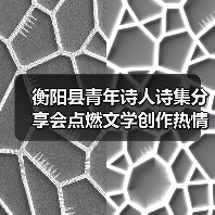 衡阳县青年诗人诗集分享会点燃文学创作热情（图4）