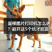 蛋糕图片打印机怎么选？避开这5个坑才能赢