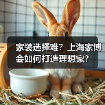 家装选择难？上海家博会如何打造理想家？（图2）