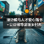 澄迈候鸟人才爱心赠书+公益辅导温暖乡村教育（图2）