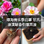 琼海音乐季启幕 非凡声浪演唱会引爆声浪(图4) 琼海音乐季启幕 非凡声浪演唱会引爆声浪(图4)