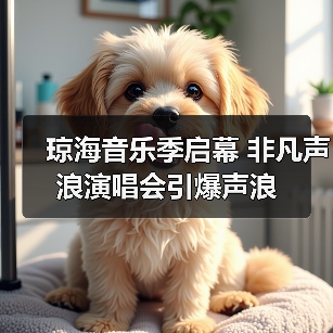 琼海音乐季启幕 非凡声浪演唱会引爆声浪
