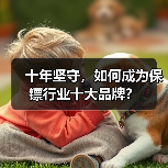 十年坚守，如何成为保镖行业十大品牌？