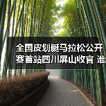 全国皮划艇马拉松公开赛首站四川屏山收官 谁夺魁？山水人文交融（图4）