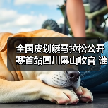 全国皮划艇马拉松公开赛首站四川屏山收官 谁夺魁？山水人文交融（图2）