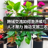 跨域交流如何激活候鸟人才潜力 推动文旅三农融合发展？