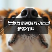舞龙舞狮巡游互动点燃新春年味（图4）