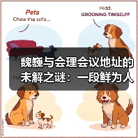 魏巍与会理会议地址的未解之谜：一段鲜为人知的往事