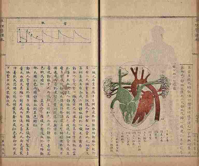 第十一次古籍数字资源联合发布——超16.1万部文献飞上“云端”