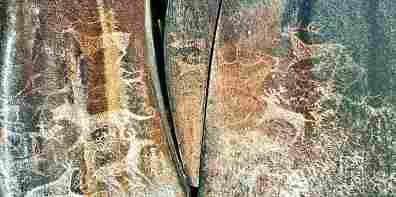 如果岩画会说话：我们是石头上的时光叙事者