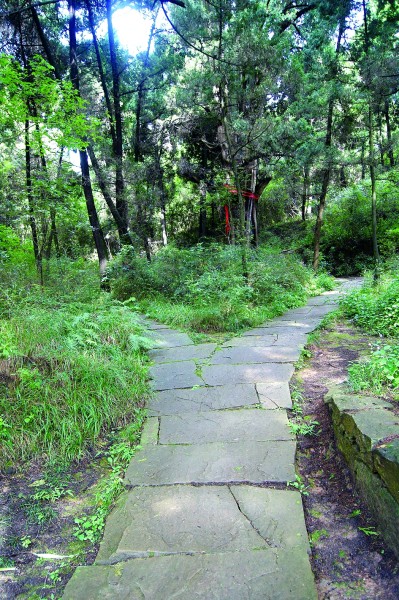 巴蜀大地 文脉绵长