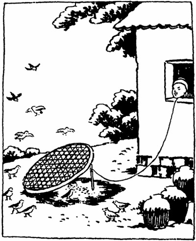 博物书写的本真性追求